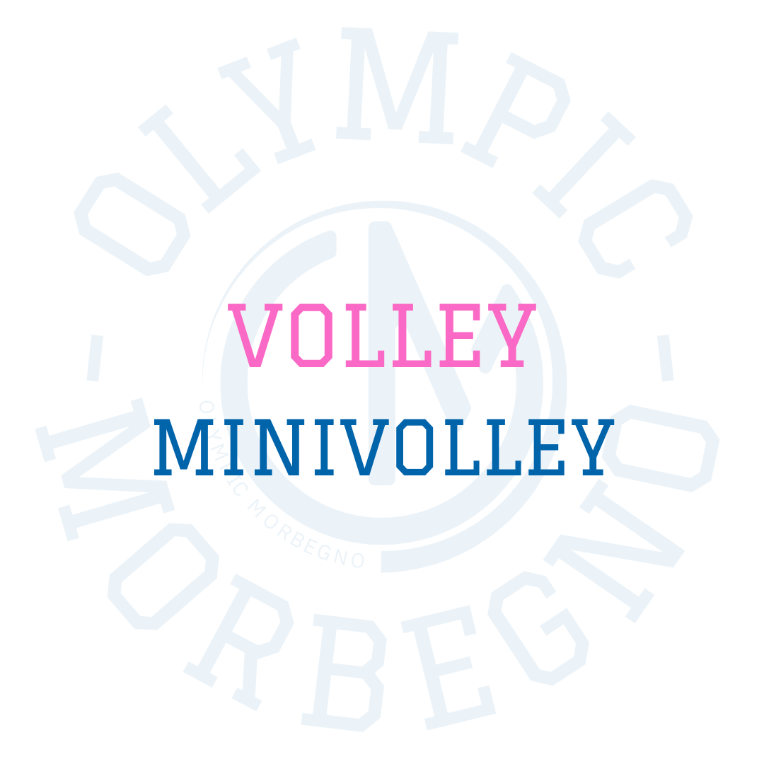 V-MINIVOLLEY